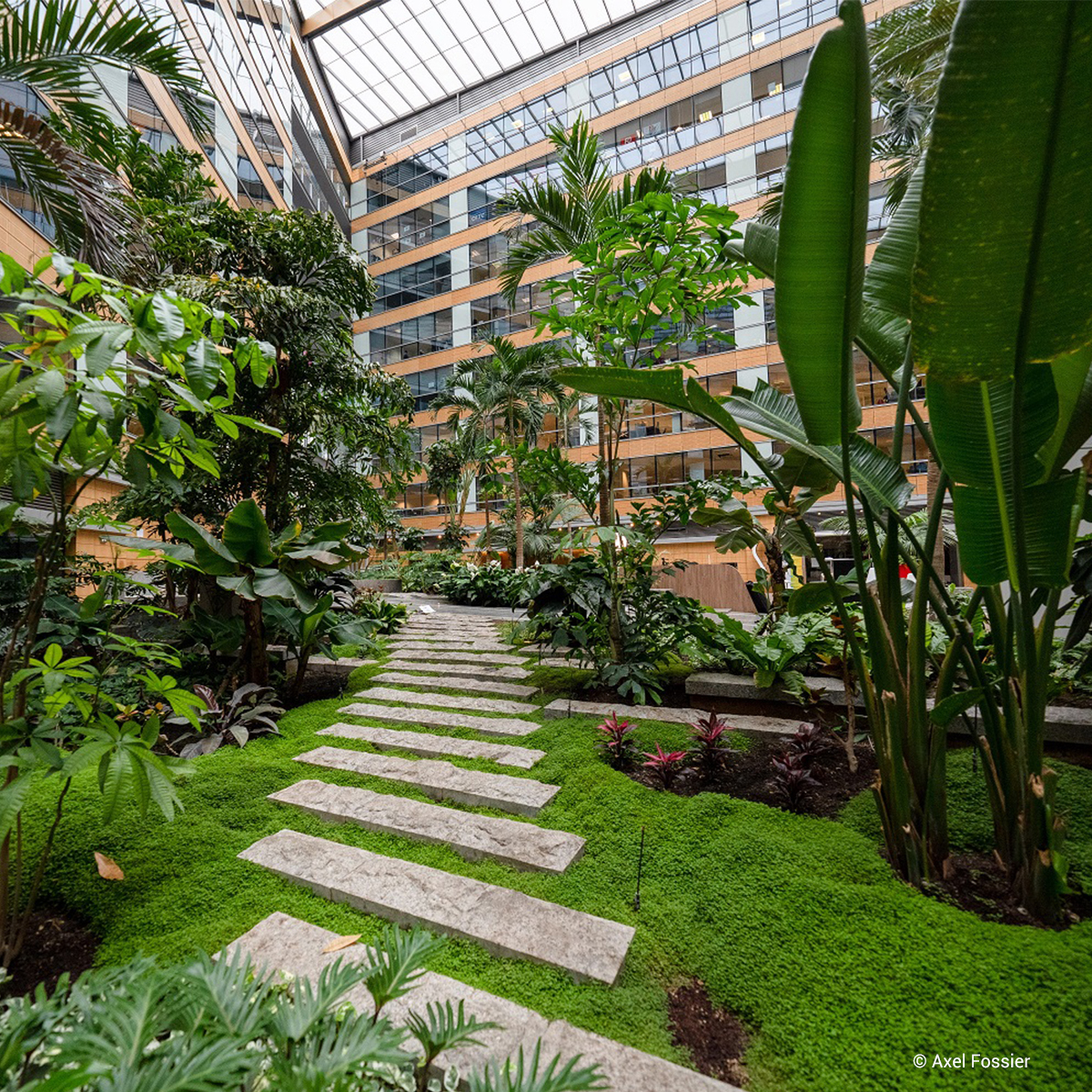 Critères ESG - Environnement - Lamy Liaisons