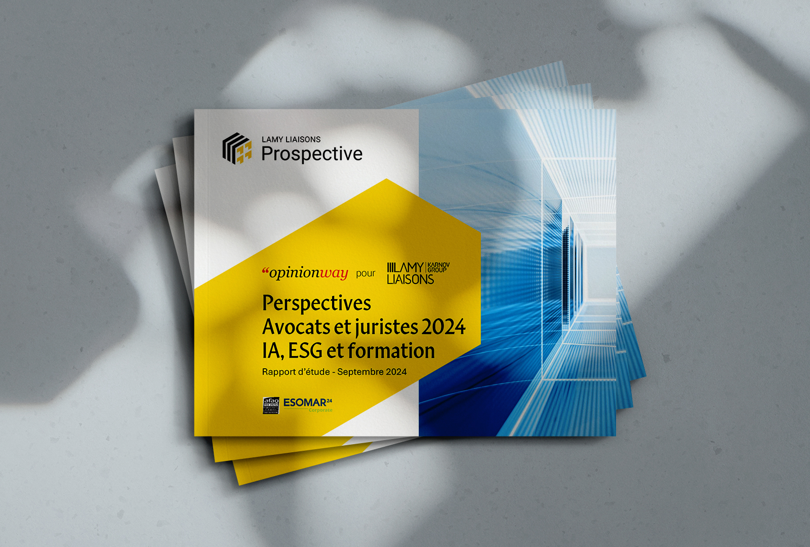 Perspectives Avocats & Juristes 2024