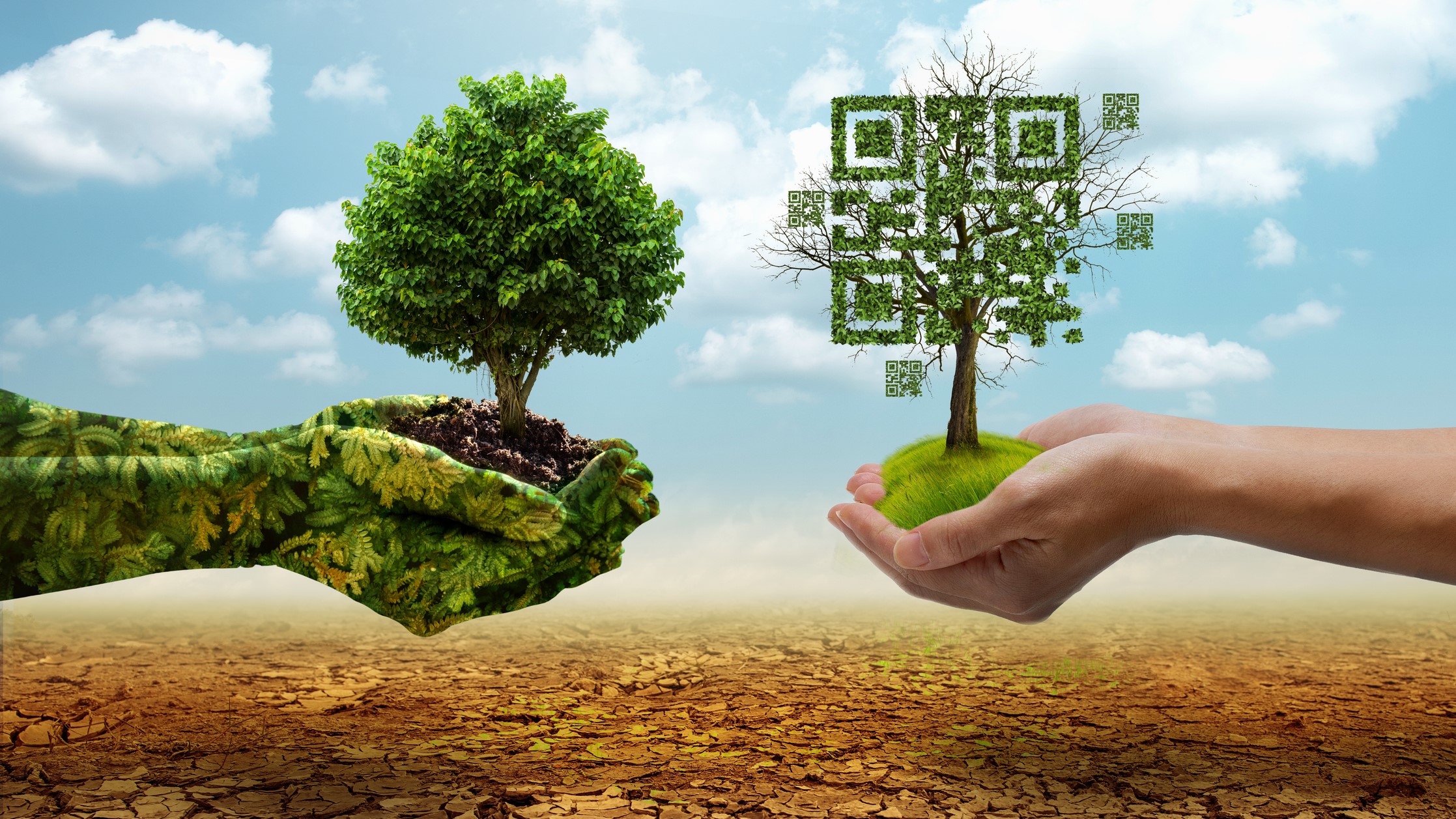 L’IA générative, une technologie gourmande et nocive pour l’environnement qui demande un usage responsable