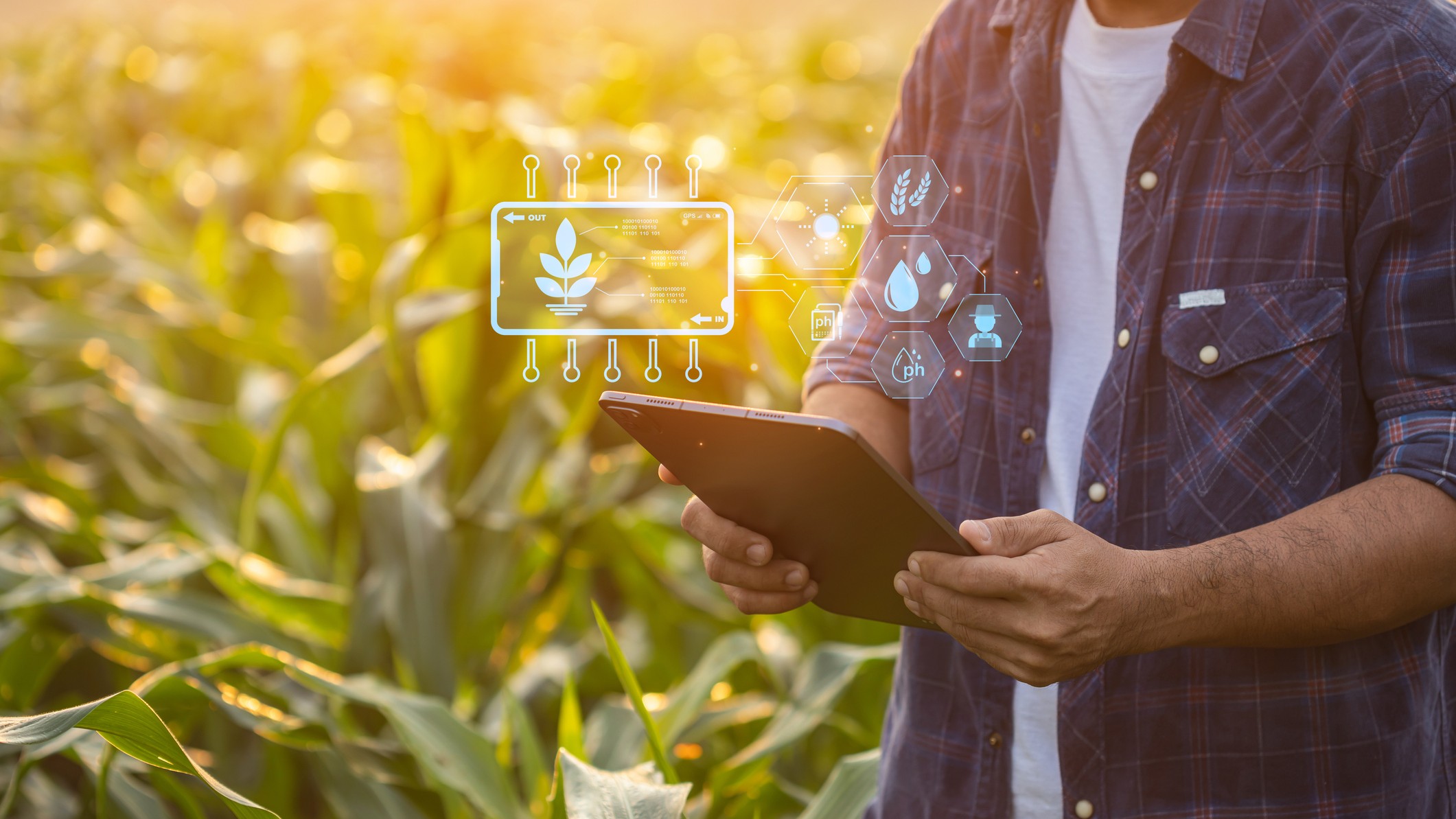 Création d’une infrastructure numérique européenne pour l’agroalimentaire